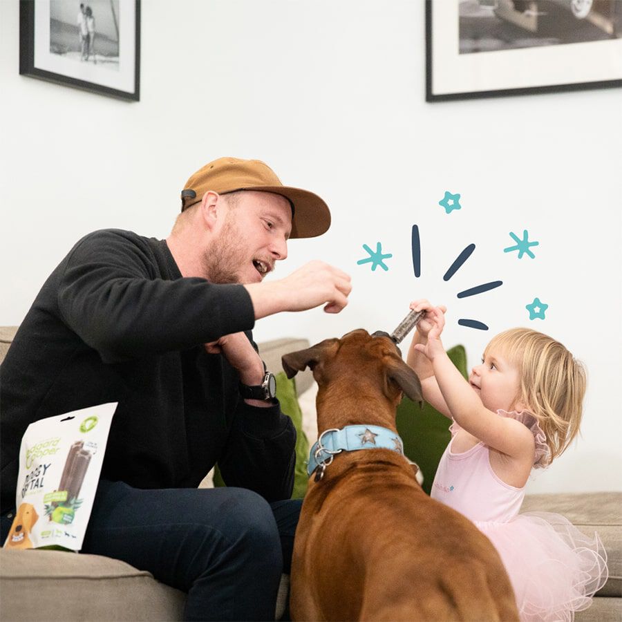 7 barritas Edgard & Cooper Barritas Dentales Manzana y eucalipto snack para perros grandes, , large Imagen numero 4